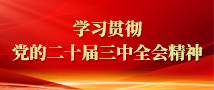 学习贯彻党的二十届三中全会精神